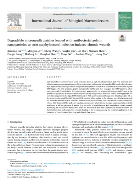 2022 动物研究，重组胶原微针，用于慢性伤口