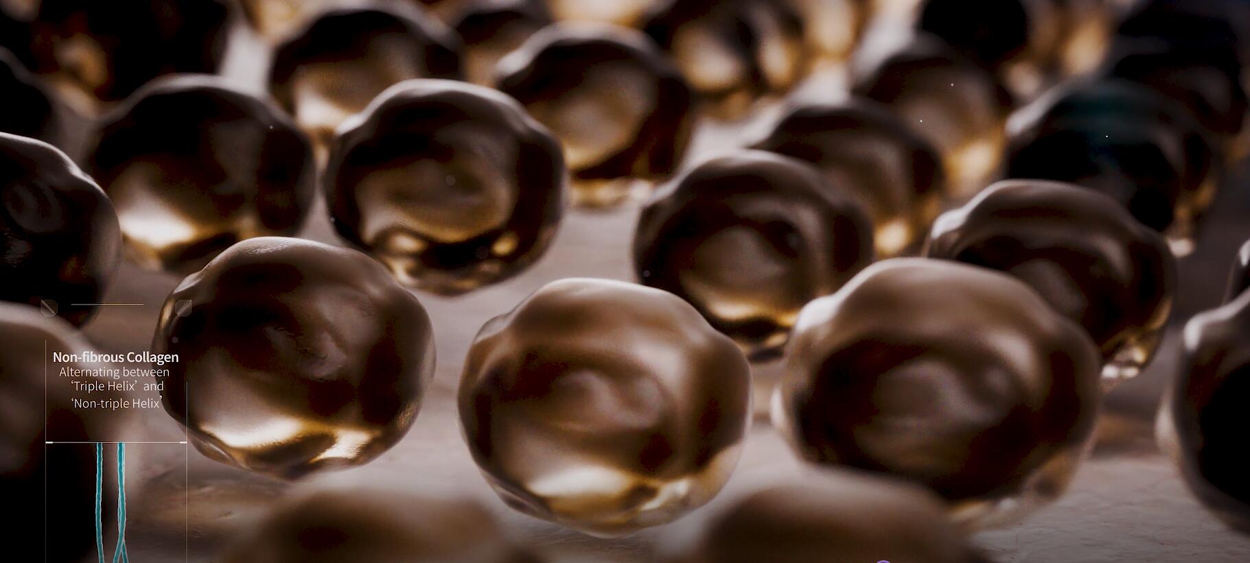 新闻 | 人生就是博医疗重组XVII型胶原功效探索，助力头皮“年轻态”新选择